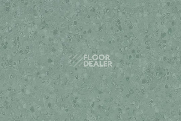 Линолеум Forbo Sphera Element 50077 kelp фото 1 | FLOORDEALER