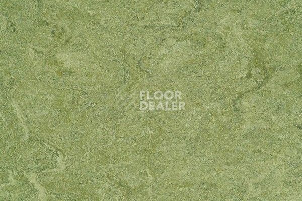 Линолеум Marmorette Dlv  Lch 2.5mm 121-100 фото 1 | FLOORDEALER