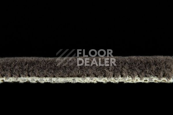 Ковролин Balsan Les Best S 790 фото 2 | FLOORDEALER