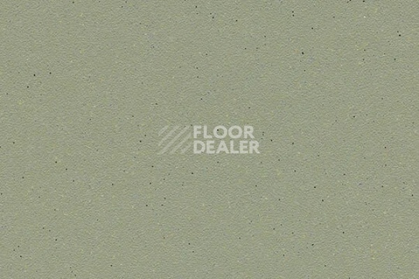 Линолеум FORBO SureStep balance 173742 sage фото 1 | FLOORDEALER