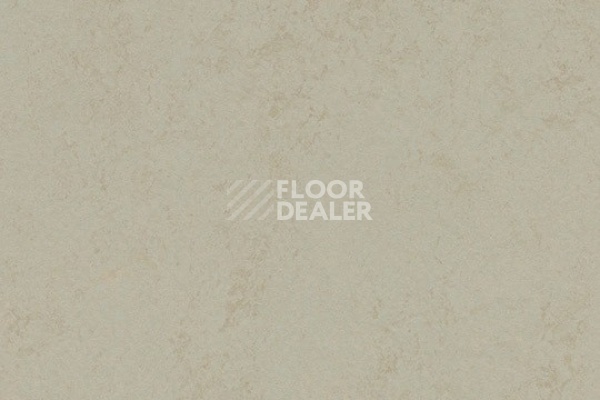 Линолеум Marmoleum Decibel 376035 dust фото 1 | FLOORDEALER