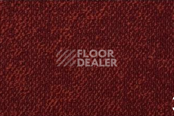 Ковролин Haima Coral 36 фото 1 | FLOORDEALER