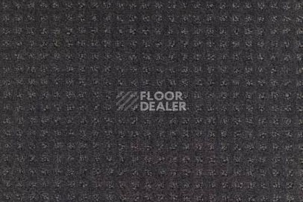 Ковролин Balsan Territoires Atrium 981 фото 1 | FLOORDEALER