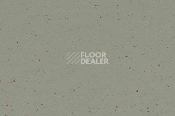 Линолеум Marmoleum Solid Cocoa 3588 eucalyptus фото 1 | FLOORDEALER