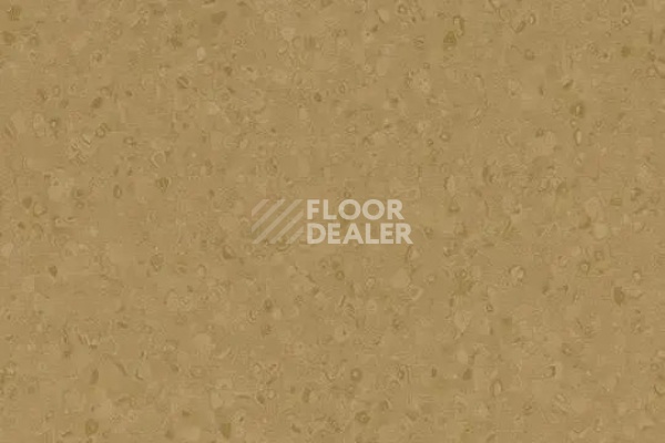 Линолеум Forbo Sphera Element 50066 flax фото 1 | FLOORDEALER