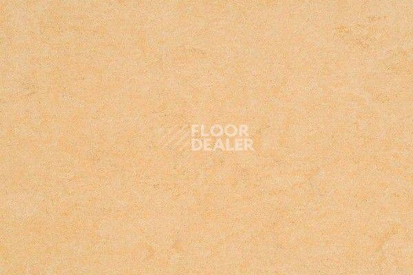 Линолеум Marmorette Dlv  Lch 2.5mm 121-098 фото 1 | FLOORDEALER