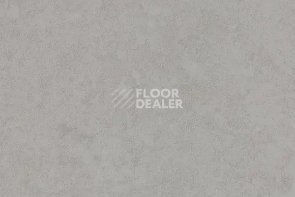 Линолеум Forbo Eternal Original 68702 pebble фото 1 | FLOORDEALER