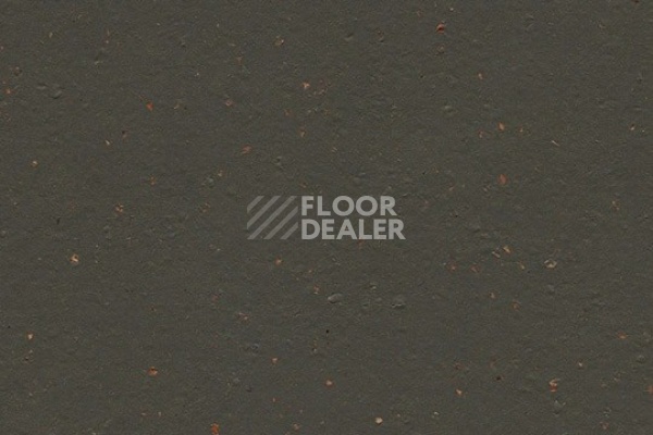 Линолеум Marmoleum Decibel on Order 359135 black tea фото 1 | FLOORDEALER