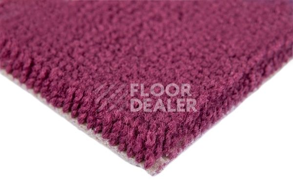 Ковролин Balsan Les Best S 599 фото 3 | FLOORDEALER