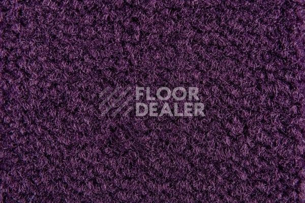 Ковролин Balsan Les Best S 899 фото 1 | FLOORDEALER