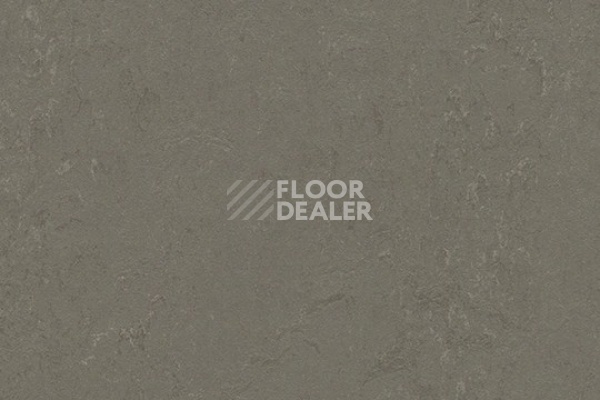 Линолеум Marmoleum Decibel 372335 nebula фото 1 | FLOORDEALER