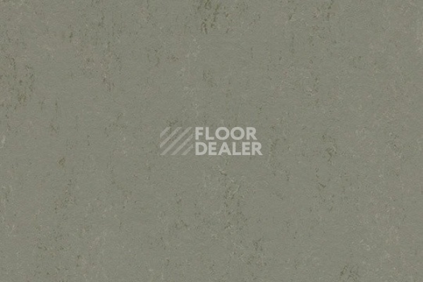 Линолеум Marmoleum Decibel on Order 375535 glacier фото 1 | FLOORDEALER