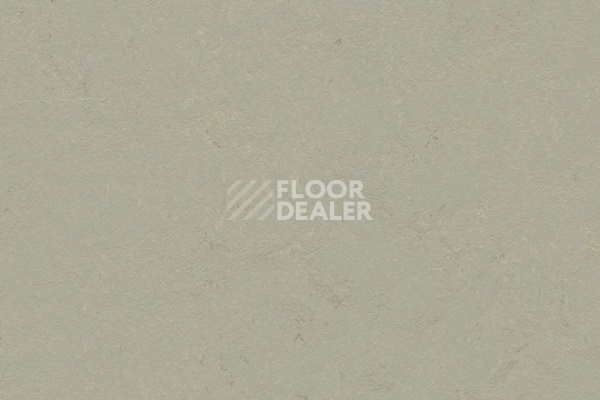 Линолеум Marmoleum Decibel 372435 orbit фото 1 | FLOORDEALER