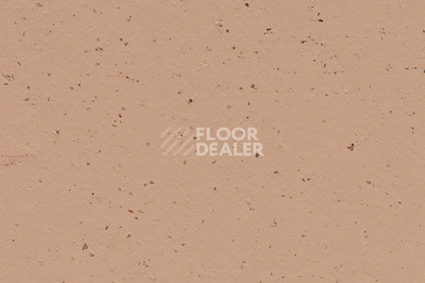 Линолеум Marmoleum Solid Cocoa 3592 salted caramel фото 1 | FLOORDEALER