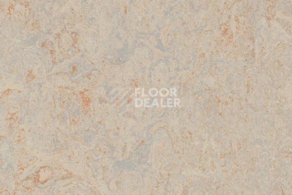 Линолеум Marmoleum Sport 83020 beige фото 1 | FLOORDEALER