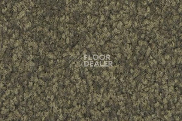 Ковровая плитка Forbo Tessera Acrobat 1319 фото 1 | FLOORDEALER