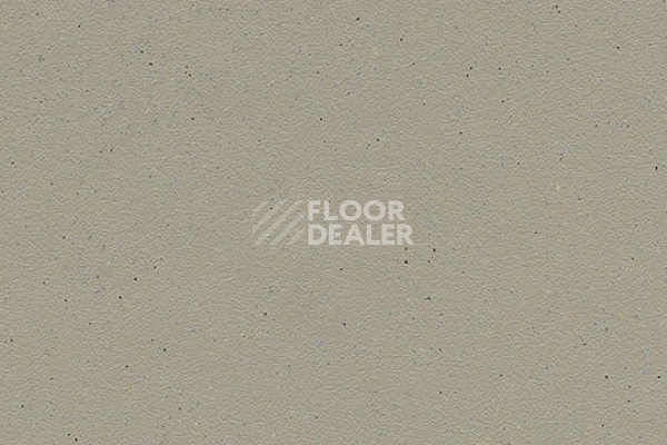 Линолеум Forbo SureStep balance 173232 fossil фото 1 | FLOORDEALER