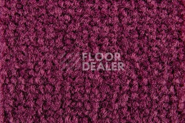 Ковролин Balsan Les Best S 599 фото 1 | FLOORDEALER