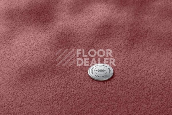 Ковролин Vorwerk Superior 1069/Hermelin 1 n 88 фото 1 | FLOORDEALER