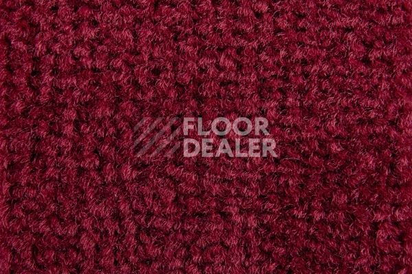 Ковролин Balsan Les Best S 585 фото 1 | FLOORDEALER