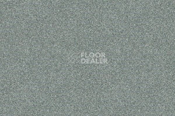 Ковровая плитка Interface Polichrome 7555 Gravel  фото 1 | FLOORDEALER