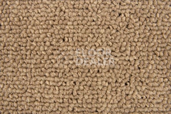 Ковровая плитка Standard Carpets Spectrum sm 595 фото 1 | FLOORDEALER