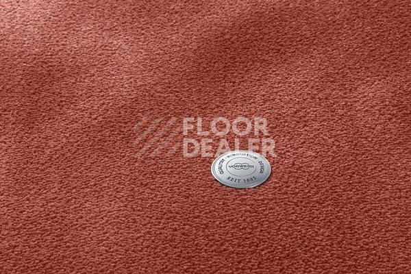 Ковролин VORWERK Exclusive 1060/Safira 1N27 фото 1 | FLOORDEALER