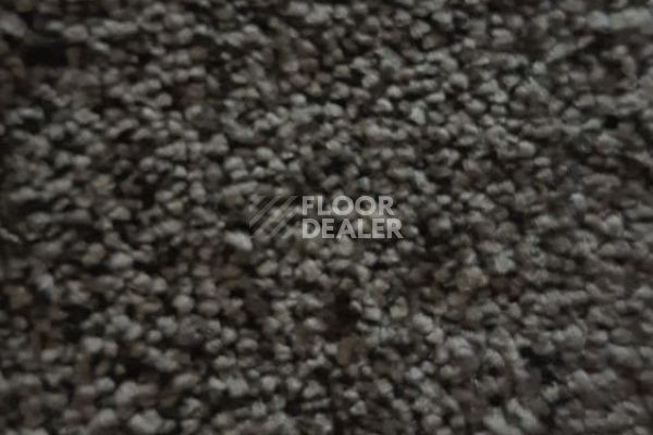 Ковролин CONDOR Carpets Dynasty 45 фото 1 | FLOORDEALER