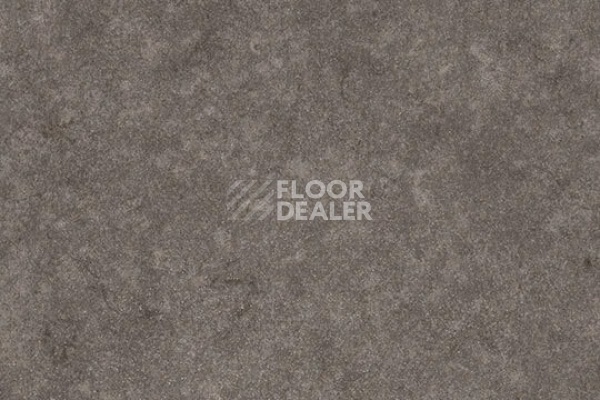 Линолеум Forbo SureStep  Fast Fit 617162 grey concrete фото 1 | FLOORDEALER