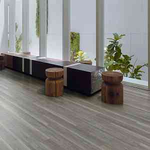 Polyflor Expona Wood