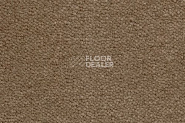 Ковролин Creatuft Sheba 1585 фото 1 | FLOORDEALER