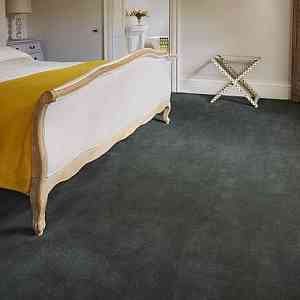 Jacaranda Carpets Heavy Velvet