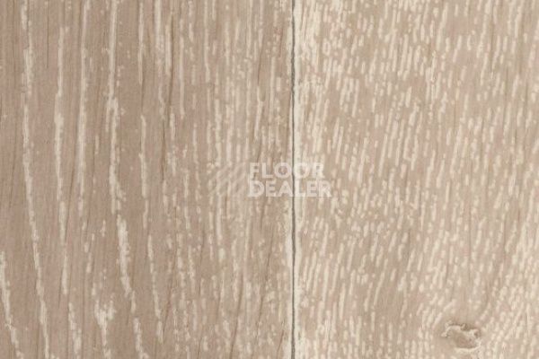 Линолеум Taralay Initial Compact (wood) 0588 Noma Clair фото 1 | FLOORDEALER