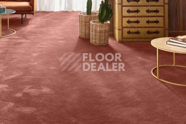 Ковролин VORWERK Exclusive 1060/Safira 1N27 фото 1 | FLOORDEALER