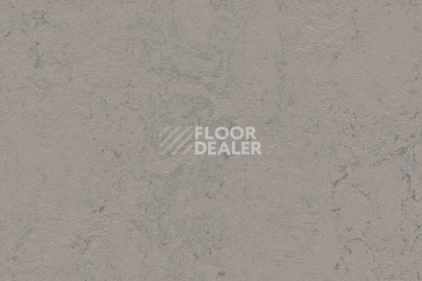 Линолеум Marmoleum Solid Concrete 3704 satellite фото 1 | FLOORDEALER