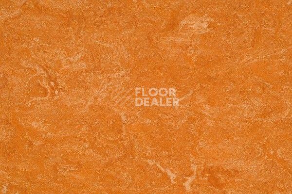 Линолеум Marmorette Dlv  Lch 2.5mm 121-073 фото 1 | FLOORDEALER