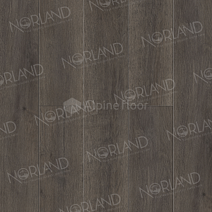 Виниловая плитка ПВХ Norland Sigrid Superior 8мм Blake 1008-2 ABA фото ##numphoto## | FLOORDEALER