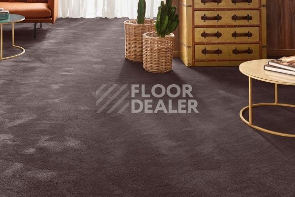 Ковролин Vorwerk Exclusive 1060/Safira 7G65 фото 1 | FLOORDEALER