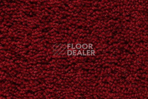 Ковролин Best Wool Pure Palace Lux 116 фото 1 | FLOORDEALER