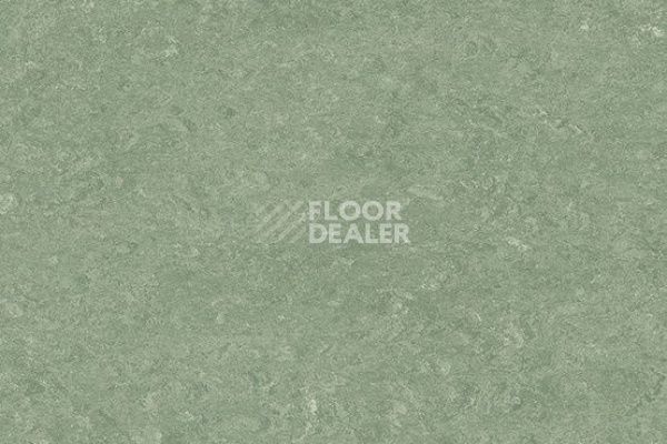 Линолеум Marmorette DLV 0043 Leaf Green фото 1 | FLOORDEALER