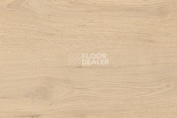 Линолеум Taralay Initial Compact (wood) 0978 Twist Blond фото 1 | FLOORDEALER