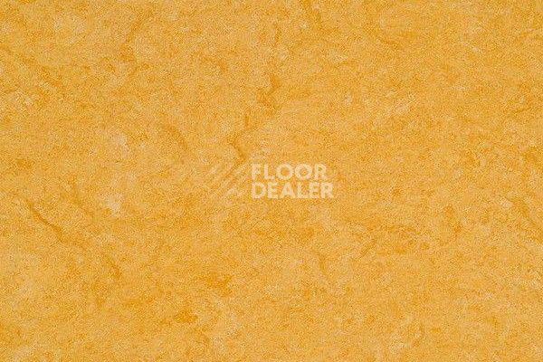 Линолеум Marmorette Dlv  Lch 2.5mm 121-072 фото 1 | FLOORDEALER