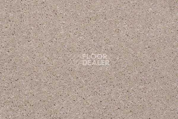 Ковролин Shaw Design Texture Platinum 123 фото 1 | FLOORDEALER