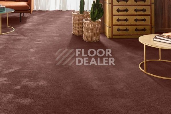 Ковролин Vorwerk Exclusive 1060/Safira 7G64 фото 1 | FLOORDEALER