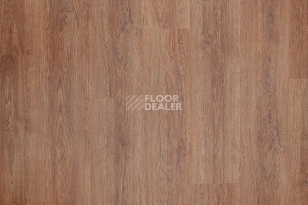 Плитка ПВХ Bonkeel Wood Quinque фото 1 | FLOORDEALER