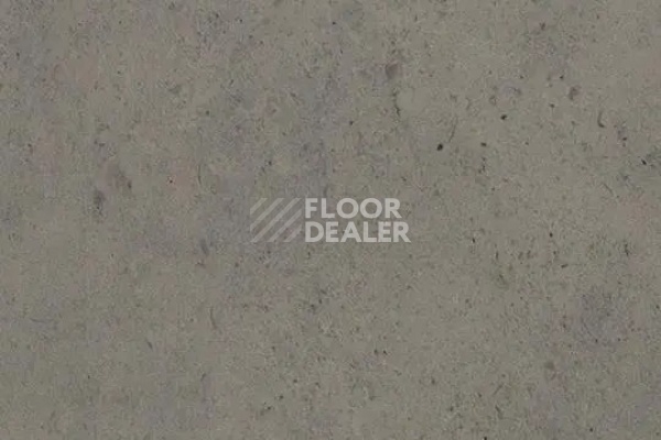 Линолеум FORBO Sarlon Material 19dB 211T4319 light grey canyon фото 1 | FLOORDEALER