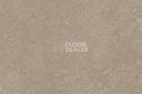 Линолеум Marmoleum Decibel 325235 sparrow фото 1 | FLOORDEALER