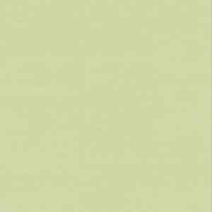Линолеум Настенное покрытие Tarkett Wallgard Rolls Green фото ##numphoto## | FLOORDEALER