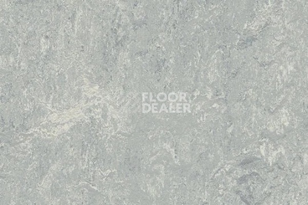 Линолеум Marmoleum Marbled Real 2621/262135 dove grey фото 1 | FLOORDEALER