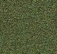 Грязезащитные покрытия Forbo Coral Bright 2608 Fresh Grass фото 1 | FLOORDEALER